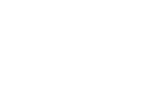 Solmotion